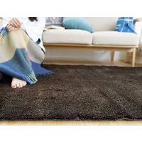 スミノエ BIG SIZE RUG ネオグラス ラグ 防炎 アレルブロック 2610×2610mm ブラウン 4955141247691 1枚（直送品）