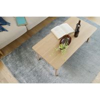 スミノエ BIG SIZE RUG ネオグラス ラグ 防炎 アレルブロック 1400×2000mm グレー 4549781206806 1枚（直送品）