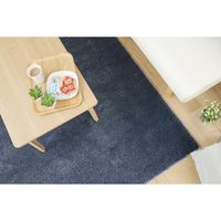 スミノエ BIG SIZE RUG ネオグラス ラグ 防炎 アレルブロック 1400×2000mm ネイビー 4549781206851 1枚（直送品）