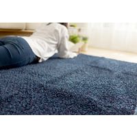 スミノエ FIT SIZE RUG ミランジュ ラグ 防ダニ 1300×1850mm ブルー 4549781207247 1枚（直送品）