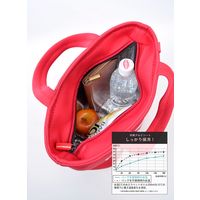 シービージャパン ランチ バッグ レッド 7L マヌーバ DSK 保冷 トートバッグ 2個セット 4573306862383 1個（直送品）