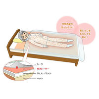 シンエイテクノ ゼオシーター ブラウン S SZ 1枚 62-1631-56（直送品）