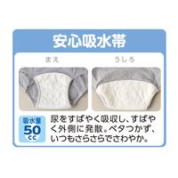 ケアファッション 婦人ショーツ グレー L 38160-12 1枚 61-7378-10（直送品）