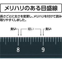 シンワ測定 アルミ三角スケール A-15 15cm 土地家屋調査士用 ブラック 4960910749665