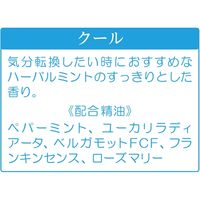 フレーバーライフ社 アロママッサージオイル 【クール】 29058 1セット（100mL×2本入）（直送品）