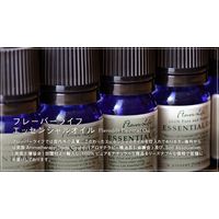 フレーバーライフ社 FL精油 ラバンディン・グロッソ 100mL 157（直送品）