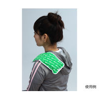 富士商 ホット&クールパッド Sサイズ グリーン F9865 1個 63-3000-35（直送品）