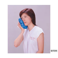 富士商 ハンディ氷のう 大サイズ F2057 1個 63-3000-31（直送品）