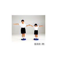 エバニュー バランスクッション 青 ETB616-700 1個 63-2974-99（直送品）