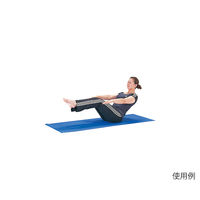 エバニュー ヨガマット EV ETB631 1枚 63-2975-06（直送品）