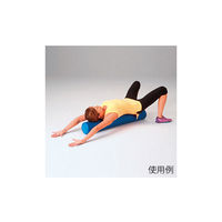 エバニュー リラクフォームローラー ETB277 1本 63-2974-34（直送品）