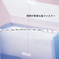 リヒトラブ ドキュメントファイル A4 13ポケット レッド G5610-3 1セット(2冊)