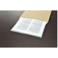 アスクル クリアーホルダー A4 1袋(100枚) 超薄型 ファイル オリジナル（わけあり品）