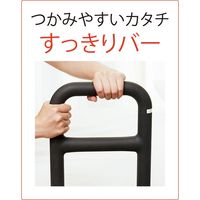 パナソニック　エイジフリー すっきり手すり　クリンディ PN-L80501 1台 B0708