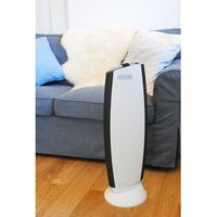 Ionic Breeze IB GRANDE ホワイトグレー [ IU867 WG] 59110 1台