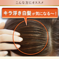 ホーユー ビゲン 香りのヘアカラー 乳液 2D 696051 1ケース(27個)（直送品）