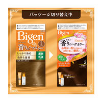 ホーユー ビゲン 香りのヘアカラー 乳液 6 696062 1ケース(27個)（直送品）