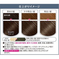 ホーユー ＢＬ　バニティカラー　グラマラスアッシュ 803893 1ケース（27個）（直送品）