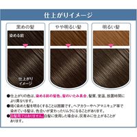 ホーユー ＢＬ　バニティカラー　ムーンブルージュ 803897 1ケース（27個）（直送品）