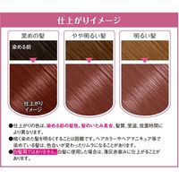 ホーユー ＢＬ　バニティカラー　マニッシュピンク 803900 1ケース（27個）（直送品）