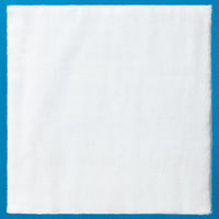 オオサキメディカル オーゼCP 1号（5×6cm）  28600 1袋（150枚入）