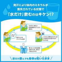 暑さ対策 塩分補給 塩分対策  匠の塩飴 3種アソート 1セット（1個×3）