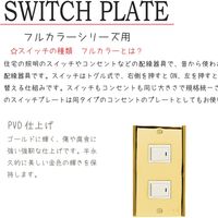 ゴーリキアイランド スイッチプレート PL 02 PVD B 790072 1個（直送品）
