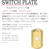 ゴーリキアイランド スイッチプレート PB 01 PVD B 790081 1個（直送品）