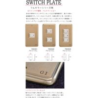 ゴーリキアイランド スイッチプレート PM 02 HCL 790302 1個（直送品）