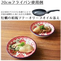 富士ホーロー ウエストファリア　20cm　フライパン 2個（直送品）