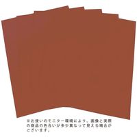 エヒメ紙工 ONカラー四つ切 530×380mm 100枚 ちゃいろ ON4-S12 1冊