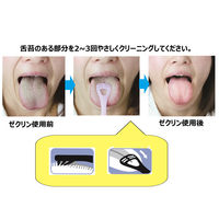 Ciメディカル ゼクリン 舌クリーナー レギュラータイプ 4色アソート 3065 1箱（20本入）