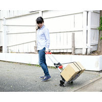 YAMAZEN キャリーカートGT-60BH6  1台