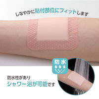 オプティフォームジェントルEX MSCEX44EP 1箱（10枚入） ニトムズ