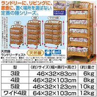 ファミリー・ライフ 天然籐ランドリーチェスト5段 67547 1個（直送品）