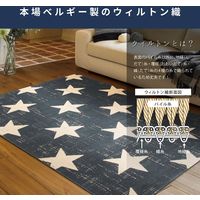 萩原 CANVAS ウィルトンラグ 1400×2000mm デルタ 240614400 1枚（直送品）