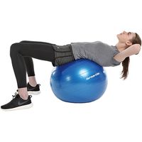 キャプテンスタッグ VitFit フィットネスボール 直径65cm ブルー UR-0862 1個