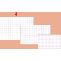 ササガワ ショーカード 大 アミ目入 無字 17-5308 1セット(1袋(50冊)×5)
