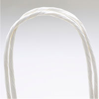 ササガワ 手提げバッグ 白無地 大 50-6300 1包 (10枚袋入)