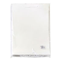 ササガワ 手提げバッグ 額縁用 B4 50-6800 1包 (10枚袋入)