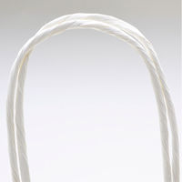 ササガワ 手提げバッグ 10Pレースィ 大 50-6812 1包 (10枚袋入)