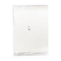 ササガワ 手提げバッグ 額縁用 A3 50-6900 1包 (10枚袋入)