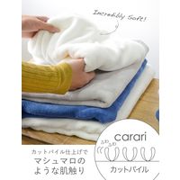 シービージャパン タオル グレー 速乾 バスタオル マイクロファイバー カラリ 4571347176131-4 1セット(4枚)