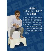 シービージャパン 踏み台 足置き 耐荷重100kg トイレ トレーニング サポート 4573306862758-2 1セット(1個×2)