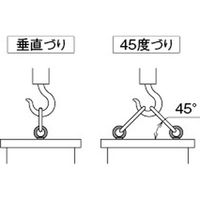 【機構部品・建築金物（ネジ・アイボルト）】シブタニ 足長アイボルト EB-901-2450 1個（直送品）