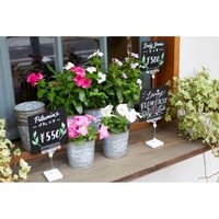 レイメイ藤井 ブラックアートシートA3 LPS103 1セット(5個)