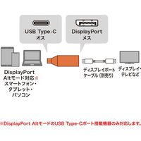 サンワサプライ USB Type C-DisplayPort変換アダプタ 4K/60Hz対応 AD-ALCS-DP 1個