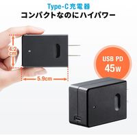サンワサプライ USB Power Delivery対応AC充電器（45W） 700-AC028 1個（直送品）