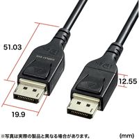 サンワサプライ DisplayPort光ファイバケーブル ver.1.4 10m KC-DP14FB100 1本（直送品）