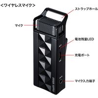 サンワサプライ ワイヤレスマイクシステム 2台セット 充電式 スピーカー MM-MCWSET 1個